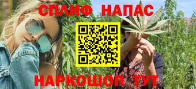 МДПВ Ливны