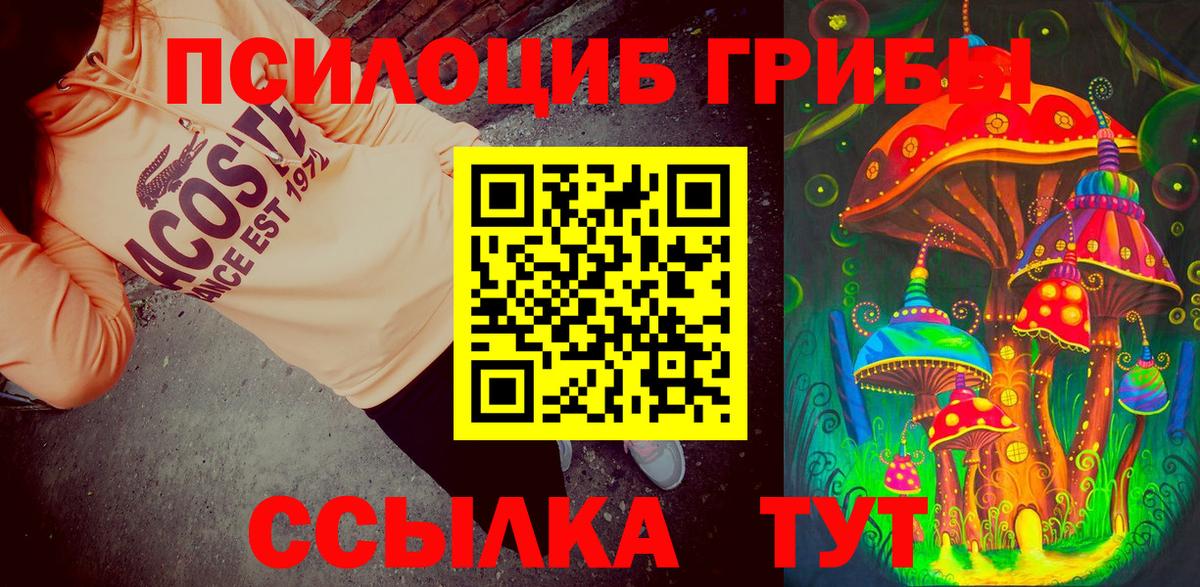 Галлюциногенные грибы GOLDEN TEACHER Калининград