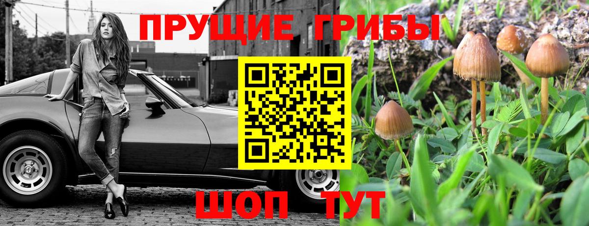Калининград  Галлюциногенные грибы Magic Shrooms  Вход с VPN 